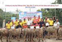 Chung tay ủng hộ Chương trình “Đưa Bò về với bà con khó khăn tỉnh Quảng Nam”